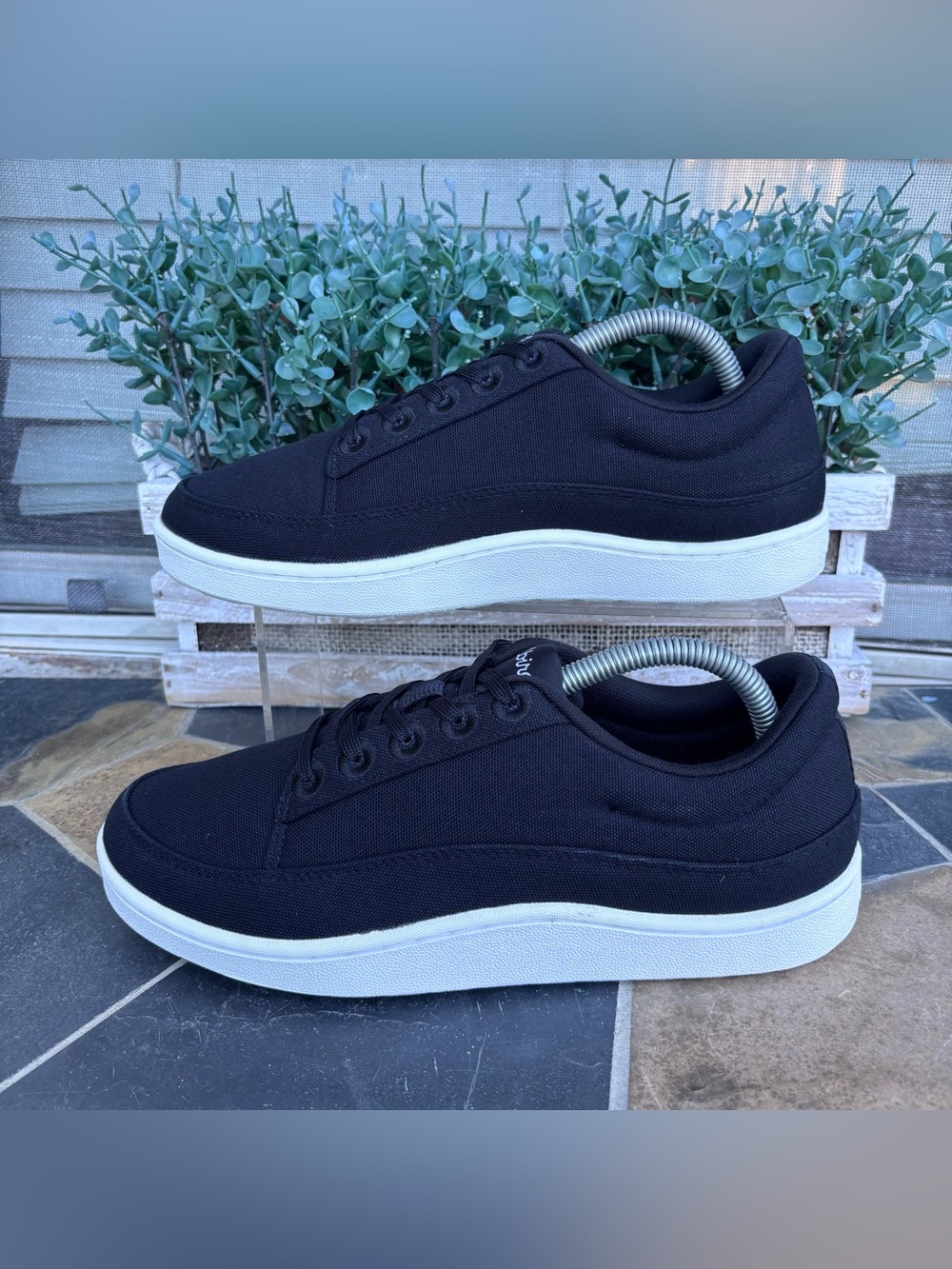 Allbirds Canvas Pacer Sneakers in Black